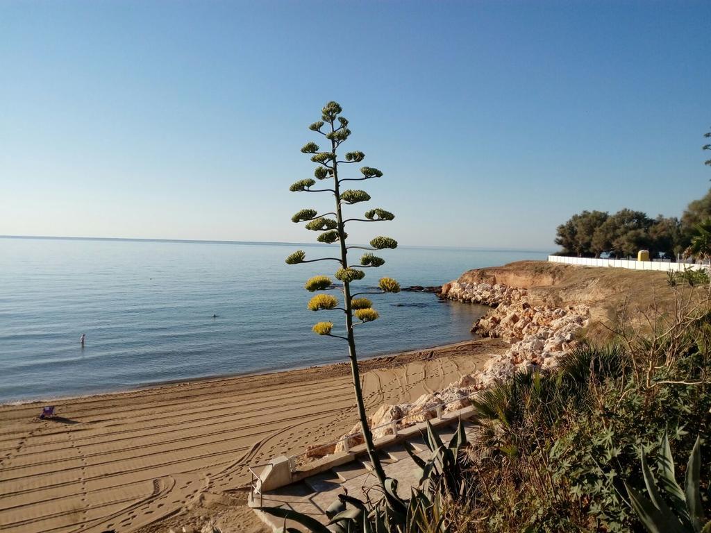 Villa Del Mar Avola Eksteriør billede