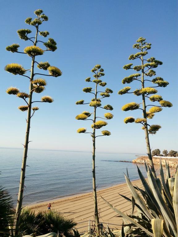 Villa Del Mar Avola Eksteriør billede